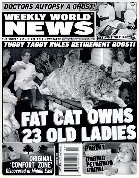 Weekly World News Weekly World News, Church Of The Subgenius, Funny Headlines, Bizarre Books, Wilde Westen, Bat Boys, Funny News, News Paper, Fat Cat