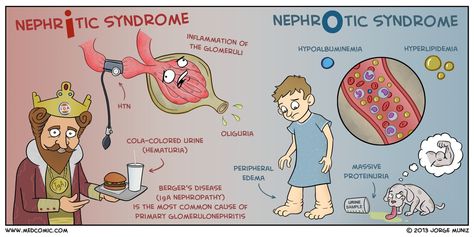 Nephritic Syndrome, Nephrotic Syndrome, Medical Tips, Medical Mnemonics, Nursing Study Guide, Nursing Mnemonics, Teaching College, Nursing School Survival, Best Nursing Schools