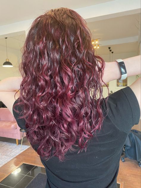 Dark Cherry Hair Curly, Red Highlights On Light Brown Hair, Black Cherry Hair Color Curly Hair, Deep Red Curly Hair, Curly Red Highlights, Hel Aesthetic, Red Highlights Curly Hair, Cherry Red Hair Curly, Deep Red Highlights