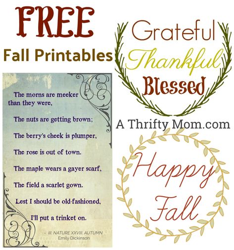 M&M Thankful Game - Fun quick game of expressing gratitude - A Thrifty Mom - Recipes, Crafts, DIY and more Sunday School Thanksgiving Crafts, Halloween Candy Crafts, French Prints, Free Fall Printables, Free Thanksgiving Printables, Mom Recipes, Primary Ideas, Kid Friendly Halloween, Pudding Cups