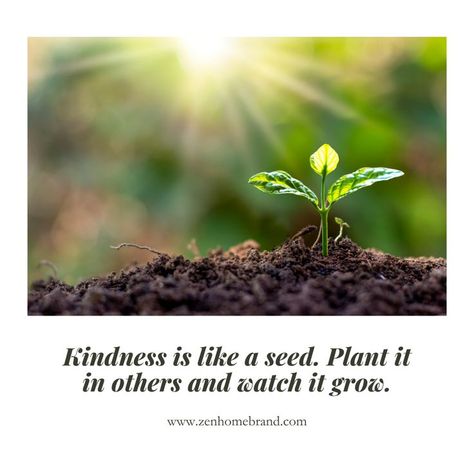 The Seed That Blossoms in Others' Hearts 🌼🌿 Sow the seed of kindness, and it will flourish in the hearts of others. Nurture it with love and compassion, and watch it grow into something beautiful. Spread kindness like a garden of flowers, brightening lives wherever it lands. You contribute to a world full of love and harmony with every act of kindness. Plant the seed of kindness today, and let it blossom into a garden of joy! Seeds Of Kindness, Garden Of Flowers, Sowing Seeds, Act Of Kindness, Spread Kindness, Full Of Love, Something Beautiful, A Garden, Best Sellers