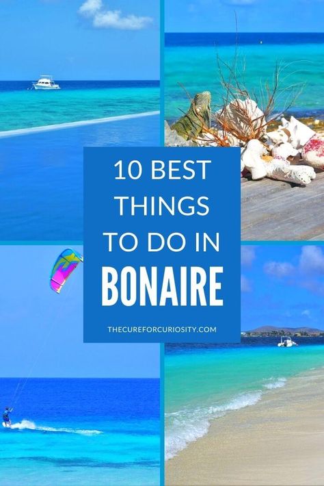 10 Best Things to Do in Bonaire - Beyond Just Scuba Diving Bonaire Things To Do, Dive Resort, Caribbean Island, Caribbean Travel, Caribbean Cruise, Island Travel, Island Vacation, Caribbean Islands, America Travel