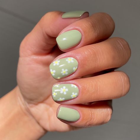 Short Gel Nails, Cute Simple Nails, Green Nail Designs, Simple Gel Nails, Green Nail, Cute Gel Nails, Shellac Nails, Nagel Inspo, Short Nail Designs