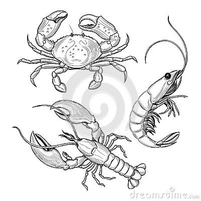 Lobster Drawing, Lobster Tattoo, Crab Illustration, Crab Tattoo, Ocean Drawing, Seafood Stock, Jellyfish Art, Underwater Art, Dark Art Drawings