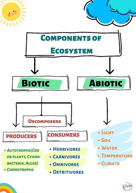 Living Organisms Science, Ecosystem Notes, Biosphere Ecosystem, Ecosystem Poster, Ecology Study, Teaching Ecosystems, Biotic And Abiotic Factors, Ecosystem Project, Pond Ecosystem