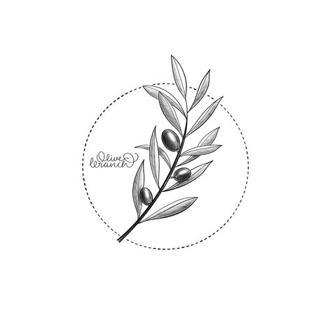 art illustration tattoo illustration graphicdesign design procreate digitalart sketching sketchart sketchbook sketch tattoo tattoosketch flowersart artflower lineart monolineart monoline арт скетч оливковая ветвь иллюстрация sketch daily hand drawing flower tattoo olive branch olive branch tattoo olive branch sketch olive sketch Olive Tree Branch Drawing, Sun And Olive Branch Tattoo, Olive Tattoo Design, Olive Branch Tattoo Design, Olive Branch Sketch, Tattoo Olive Branch, Olive Sketch, Olive Branch Drawing, Olive Drawing