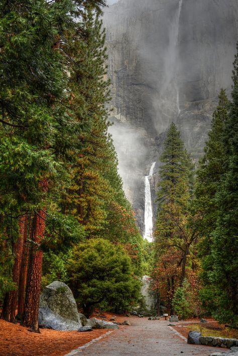 California Places To Visit, Places In Usa, American Landscape, Places In California, Yosemite Falls, Road Adventure, Sequoia National Park, Les Cascades, Us National Parks