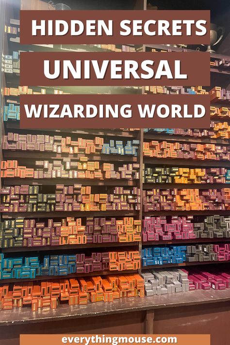 Planning a trip to Universal Studios Orlando? Discover the best tips for an unforgettable experience at The Wizarding World of Harry Potter! From must-see attractions to secret spots, we've got you covered. Whether you're a fan of Harry Potter Orlando or exploring Universal Studios for the first time, make your visit magical with our expert advice.  #HarryPotterWorld #UniversalStudiosOrlando #WizardingWorld #HarryPotterUniversal Universal Studios Orlando Attractions, Harry Potter Orlando Universal Studios, Universal Orlando Tips, Universal Studios Trip Reveal, Universal Studios Orlando Aesthetic, Harry Potter World Orlando, Universal Harry Potter Orlando, Universal Harry Potter, Universal Studios Orlando Harry Potter