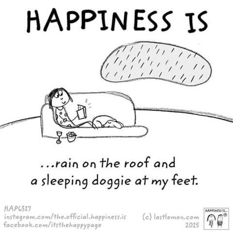 Dogs Love Quotes, Warm Blanket, Dogs Love, Animal Quotes, Dog Quotes, Happy Thoughts, Happy Dogs, Happiness Is, Long Weekend