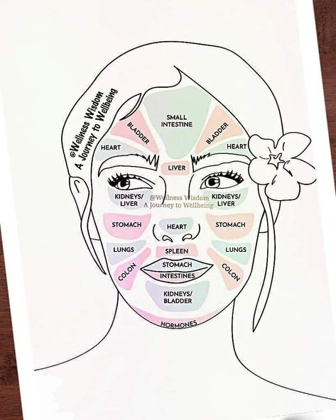 Wellness Wisdom on Instagram: “#FaceMapping #FaceReflexology #TryIt  If your #Eyes are the Window to Your #Soul, then your #Face just might be the window to your #Body .…” Facial Mapping, Doterra Acne, Gesicht Mapping, Chin Acne Causes, Chin Acne, Face Mapping Acne, Forehead Acne, Face Mapping, Acne Face