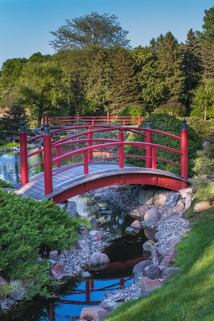 Japanese Architecture Drawings, Indoor Japanese Garden, Japanese Water Gardens, Bridges Architecture, Japanese Bridge, Japanese Garden Landscape, Japanese Shrine, Pond Water Features, Japanese Temple