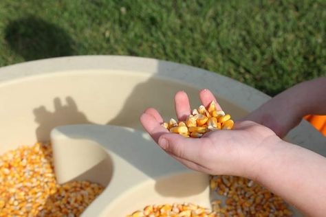 Create a kids pumpkin patch in your backyard for a Fall playdate or pumpkin birthday party! Pumpkin Birthday Party, Pumpkin Patch Kids, Pumpkin Patch Birthday, Pumpkin Birthday Parties, Backyard Activities, Patch Ideas, Pumpkin Birthday, Pumpkin Farm, Pumpkin Picking