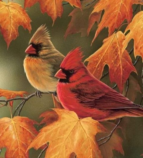 Art by Rosemary Millette - Cardinal Cottage Bird Watercolor Paintings, Cardinal Birds, Autumn Scenery, Rustic Wall Art, Maple Leaves, Watercolor Bird, Cross Stitch Art, Clear Case, Birds Painting