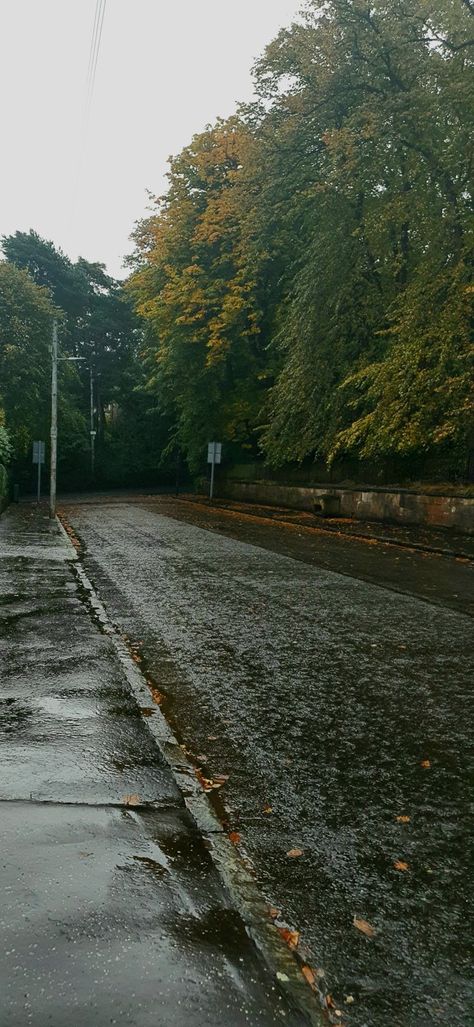 Rain Countryside Aesthetic, Rainy Day Lockscreen, Rainy Streets Aesthetic, Bright Rainy Day Aesthetic, Rainy Street Photography, Rainy Small Town Aesthetic, Rain Street Aesthetic, Rainy Street Wallpaper, Rainy Day Wallpaper Aesthetic