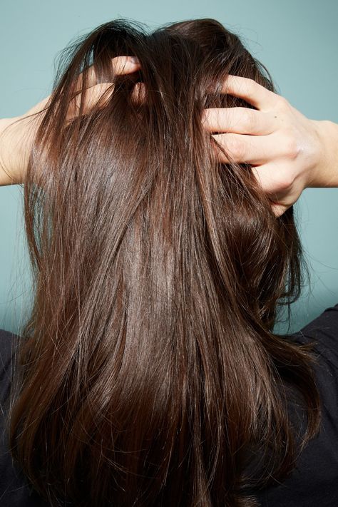 Itchy scalp: Causes and treatments Hair Shedding Remedies, Herbs For Hair, Home Remedies For Hair, Lost Hair, Itchy Scalp, Hair Remedies, About Women, Thinning Hair, Hair Breakage