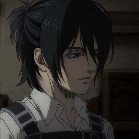 Mikasa Ackerman, Anime Character, Black Hair, Hair, Anime, Black