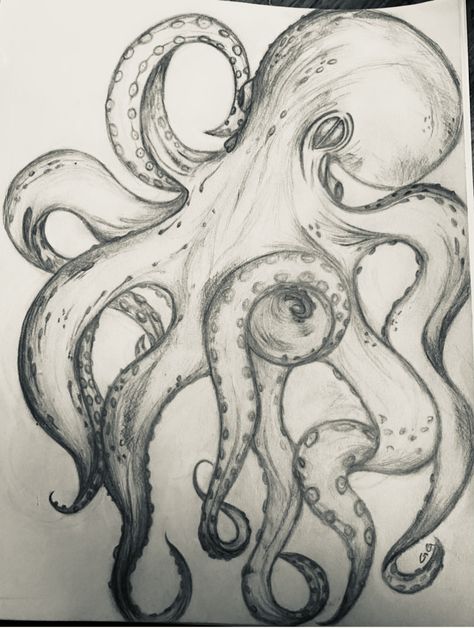 Pencil drawing of an octopus Easy Octopus Drawing, Octopus Sketch, Octopus Artwork, Doodling Ideas, Hard Drawings, Octopus Drawing, Sea Drawing, Body Image Art, Gcse Art Sketchbook