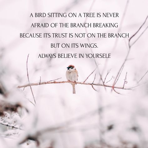 A bird sitting on a tree is never afraid of the branch breaking because its trust is not on the branch but on its wings. Always believe in yourself. #CONFIDENCE #SELFDOUBT #FAITH A Bird Sitting On A Branch Quote, Trust Your Wings Tattoo, Wings Quotes, Always Believe In Yourself, Bird Quotes, Bird Sitting, Wish Quotes, Always Believe, Life Quotes To Live By