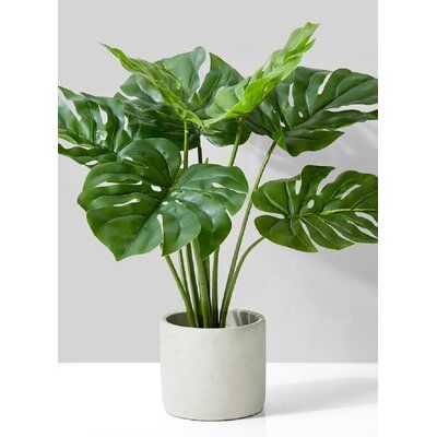 Tanaman Indoor, Metal Hanging Planters, Artificial Plants And Trees, Fiddle Leaf Fig Tree, Planta Artificial, Artificial Potted Plants, Succulents Decor, Artificial Boxwood, Cement Pots