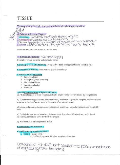 Tissue Anatomy And Physiology, Anatomy And Physiology Tissues, Anatomy Tissue Notes, Nervous Tissue Notes, Physiology Notes, Skincare Knowledge, Pathophysiology Nursing, Teas 7, Nursing School Studying Cheat Sheets