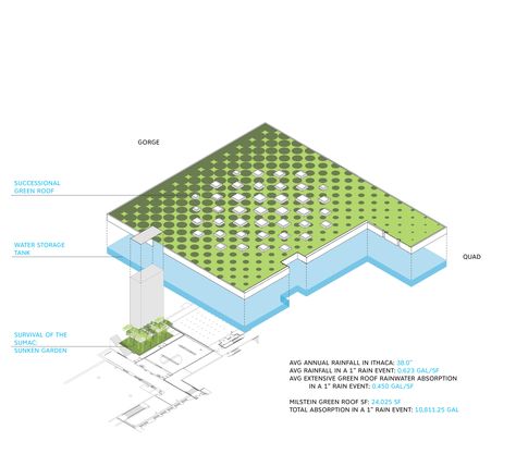 Cornell University Milstein Hall - SCAPE Milstein Hall, Extensive Green Roof, Dynamic Pattern, Rem Koolhaas, Forest Canopy, Sunken Garden, Water Storage Tanks, Cornell University, Landscape Plan