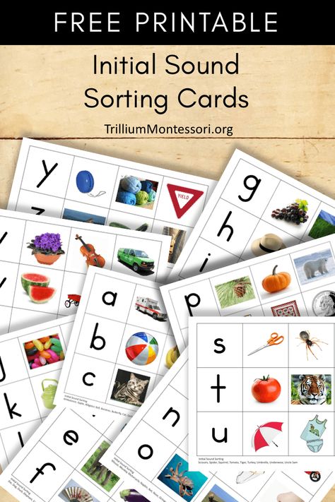 Free Printable Initial Sound Sorting Cards Montessori Letter Sounds Free Printable, Initial Sound Picture Cards Free, Alphabet Picture Cards Free Printable, Letter Sound Picture Cards Free, Early Language Activities, Alphabet Picture Cards, Montessori Works, Sound Pictures, Montessori Kindergarten