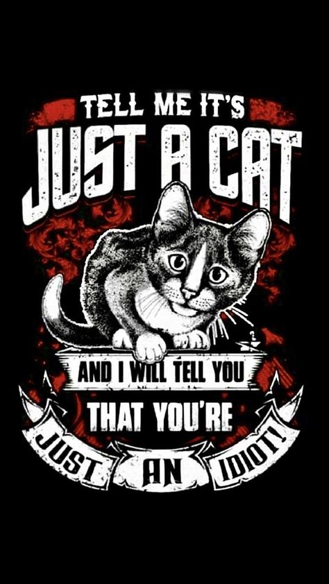 Kitten Quotes, Cat Happy, Cat Facts, Cat Posters, Cat Quotes, Crazy Cat, Animal Quotes, Pretty Cats, Cat Drawing