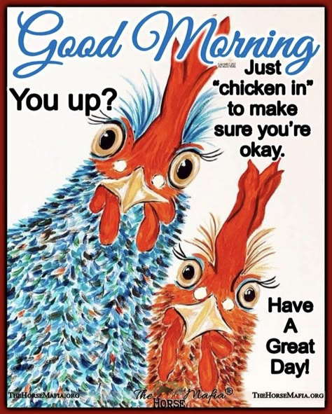 Good Morning Chicken, Gm Tuesday, Funny Encouragement Quotes, Chicken Memes, Chalkboard Sayings, Funny Encouragement, Funny Day Quotes, Happy Day Quotes, Good Morning Saturday