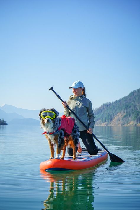 Dog Travel Aesthetic, Travel With Pets, Hiking With Dog, Hiking Dog, Dog Hiking, Dog Lifestyle, Adventure Dog, Active Dogs, Sup Stand Up Paddle