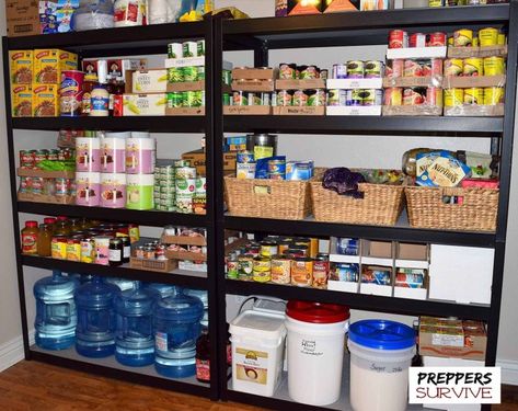 Prepper's Pantry - Food Storage Pictures - Images of Canned Food Preppers Food Storage, Prepper Supplies, Prepper Food, Preppers Pantry, Emergency Food Storage, Organized Pantry, Long Term Food Storage, Prepper Survival, Emergency Food