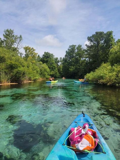 Florida Keys Aesthetic, Flordia Keys, Kayak Florida, Florida Kayaking, Manatees In Florida, Florida Hiking, Kayaking Aesthetic, Kayak Pictures, Bucket List Activity