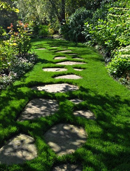 Scotch moss (maybe Irish?). Trying to get this to take in my garden; too dry or too shady. Creeping thyme is doing great though. Walkways Ideas, Flagstone Pathway, Backyard Walkway, Walkway Design, Jardim Diy, Walkways Paths, Garden Stepping Stones, Stone Walkway, Garden Walkway