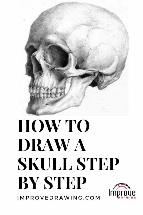 How to Draw a Skull: A Step by Step Guide Draw A Skull, Easy Skull Drawings, Improve Drawings, Skull Sketch, Skeleton Drawings, Skull Art Drawing, Easy Drawing Tutorial, Skulls Drawing, Art Sketches Pencil