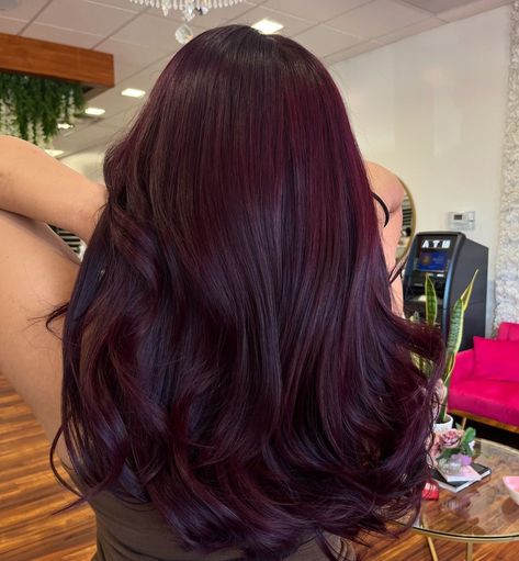 Burgundy And Violet Hair, Dark Purple Red Hair Burgundy, Violet Dark Hair, Cherry Red Cola Hair, Unique Winter Hair Colors, Cherry Plum Hair Color, Purple Cherry Hair, Rose Violet Hair, Dark Violet Hair Burgundy