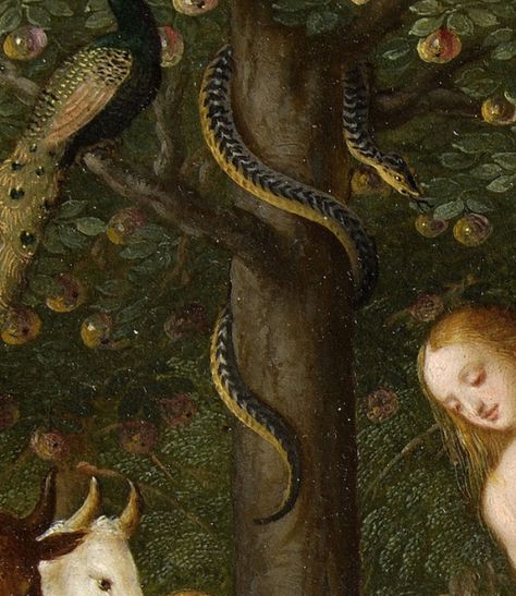 Adam and Eve in Paradise by Johann König (detail). Snake Attacking, Biblical Mythology, Medusa Gorgon, Lucrezia Borgia, Legends And Myths, Hozier, Garden Of Eden, Adam And Eve, A Snake