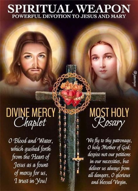 (22) JONATHAN RICARD on Twitter: "@erics_truelove https://t.co/rrasEpQMm6" / Twitter The Divine Mercy Chaplet, Divine Mercy Chaplet Prayer, Holy Rosary Prayer, Chaplet Of Divine Mercy, Rosary Quotes, Sacred Heart Devotion, Rosary Prayers, Divine Mercy Rosary, Divine Mercy Prayer