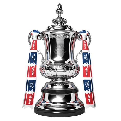 FA Cup Fa Cup Trophy, Football Trophies, Uk Holiday, Photo Opportunity, مانشستر سيتي, Uk Holidays, Holiday Park, Fa Cup, كرة القدم