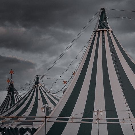 Dante Santos, The Prince Of Hearts, Julian Santos, Donatella Dragna, Scarlett Dragna, Prince Of Hearts, Circus Lights, Caraval Book, Circus Aesthetic