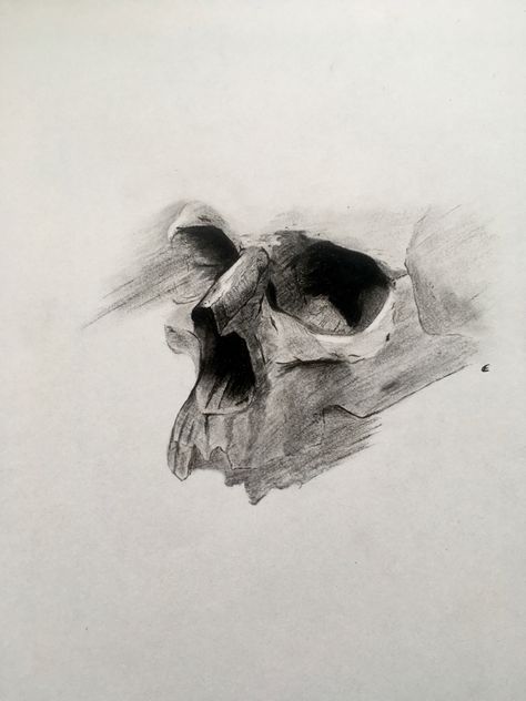 Skull Charcoal Drawing, Charcoal Skull, Viking Drawings, Drawing 101, Art Folio, Skull Sketch, Skull Sleeve, Skull Sleeve Tattoos, Anatomy Sculpture