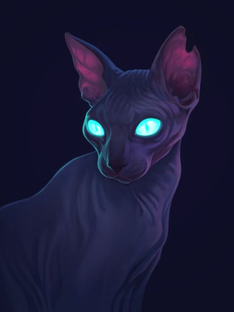 Sphinx Cat, Cat Art Illustration, Poses References, Sphynx Cat, Warrior Cat, Arte Fantasy, Sphynx, Warrior Cats, Cat Tattoo