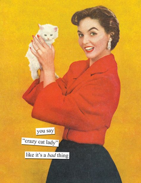 Product Captions you say “crazy cat lady” like it’s a bad thing | Anne Taintor Katt Grejer, Anne Taintor, Retro Pictures, Lady Like, Humor Grafico, Retro Humor, Cat People, Cat Quotes, Cat Person