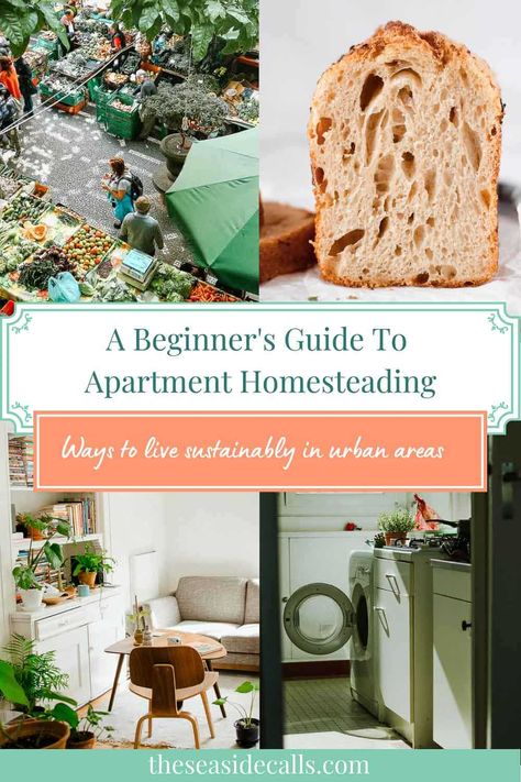 Sustainable Apartment Living, Camper Homestead, Urban Homestead Aesthetic, Homestead In Apartment, Homestead Without Land, Small Urban Homestead, Healthy Homesteader, Vegetarian Homesteading, Homesteading Apartment