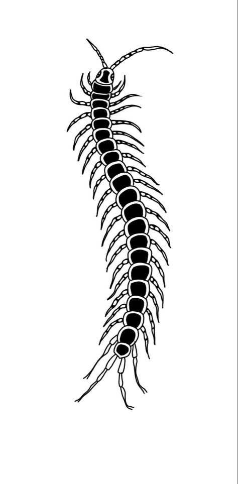 Centipede Flash Tattoo, Centipede Tattoo Outline, Traditional Centipede Tattoo Design, Centipede Tattoo Stencil, Centapeid Drawing, Small Centipede Tattoo, Centipede Spine Tattoo, Scorpion Tattoo Stencil, Traditional Centipede Tattoo