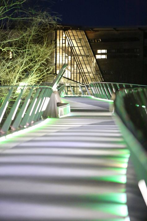 Living Bridge at University of Limerick - Limerick, Ireland/ designed by WilkinsonEyre. University Of Limerick, Limerick City, Limerick Ireland, Pedestrian Bridge, Bridge, Stairs, Favorite Places, University, Design