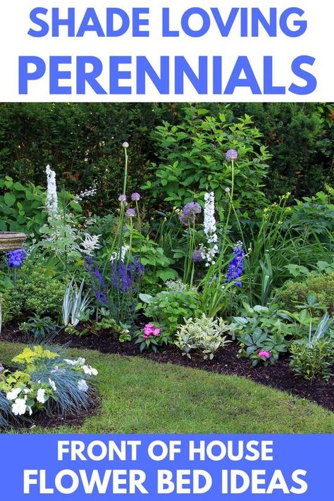 Perennial Flower Bed, Partial Shade Perennials, Shade Perennial Garden, Part Shade Perennials, Plants That Love Shade, Partial Shade Flowers, Part Shade Flowers, Shade Loving Flowers, Best Plants For Shade