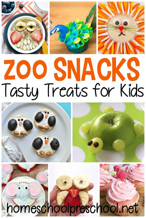 More Than 10 Paper Plate Frog Crafts for Preschool Zoo Snacks, Zoo Theme Activities, Zoo Activities Preschool, Animal Themed Food, Zoo Lessons, Zoo Animals Preschool, Preschool Zoo Theme, Preschool Food, Preschool Cooking