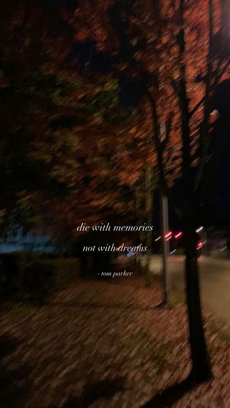 Fall, leaves, orange, yellow, red, night, walks, tree, sidewalk, die with memories, streetlight, tumblr, aesthetic, Pinterest, pin, board, cute, trend, trending, electronics, vehicle, animal, animals, quotes, sports, travel, fashion, design, beauty, art, entertainment Street Lights At Night Quotes, Night Walk Quotes, Streetlight Aesthetic, Night Walking Aesthetic, Walking Quotes, Quotes Sports, Night Walks, Aesthetic Captions, Light Quotes