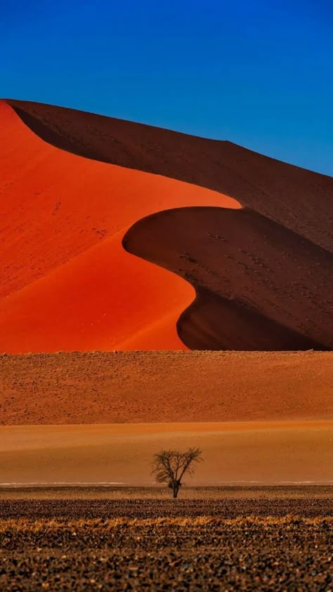 Namibia Desert, Africa House, Africa Nature, African Landscape, Africa People, Africa Photography, Desert Dunes, Namib Desert, Africa Do Sul