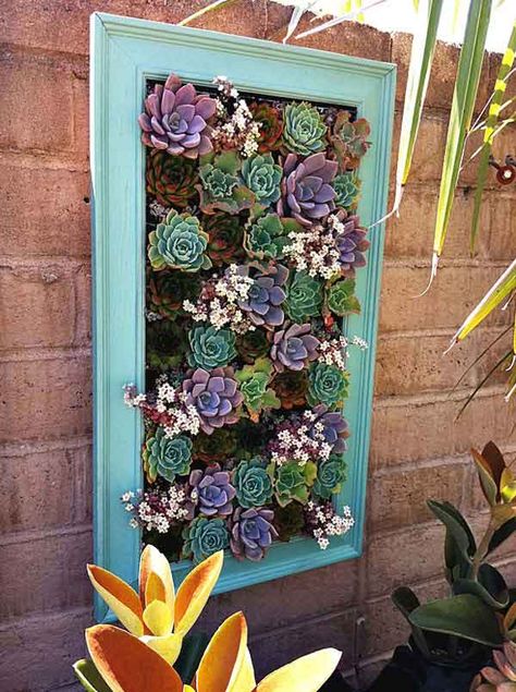 20 Absolutely Brilliant DIY Ways To Use Old Pictures Frames Into Home Beautification Upcycle Frames, Kaktus Dan Sukulen, Succulent Frame, Succulent Garden Design, Succulent Wall Art, Old Picture Frames, Hanging Succulents, Vertical Gardens, Succulent Wall