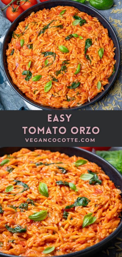 Easy Tomato Orzo Orzo Recipes Healthy Vegetarian, Orzo Recipes Vegetarian, Vegetarian Orzo Recipes, Salty Meals, Orzo Recipes Healthy, Vegan Cocotte, Orzo Dinner Recipes, Cocotte Recipes, Uni Meals